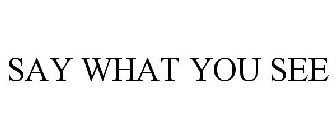 say what you see