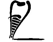 fl