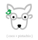 {coco + pistachio}