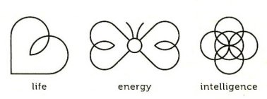 life energy intelligence