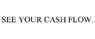 see your cash flow.