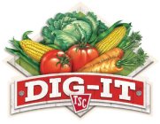 dig-it tsc