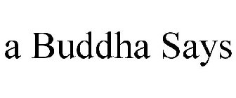 a buddha says