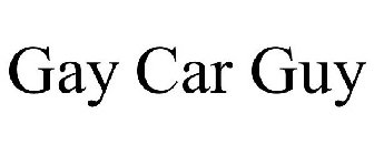 gay car guy