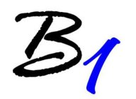 b1