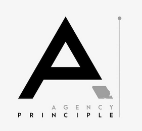 a agency principle