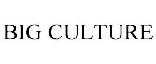 big culture