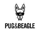 pug&beagle