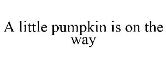 a little pumpkin is on the way