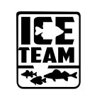 ice team