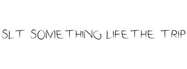 slt something life the trip
