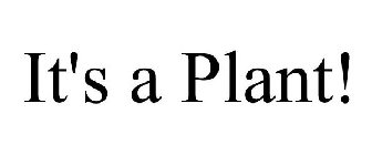 it's a plant!