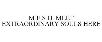 m.e.s.h. meet extraordinary souls here