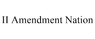 ii amendment nation