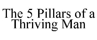 the 5 pillars of a thriving man