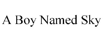 a boy named sky