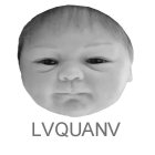 lvquanv