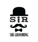 sr sir grooming