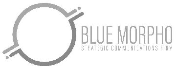 blue morpho strategic communications firm