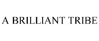 a brilliant tribe