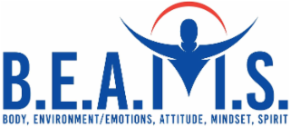 b.e.a.m.s. body, environment/emotions, attitude, mindset, spirit