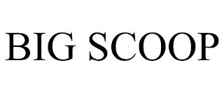 big scoop