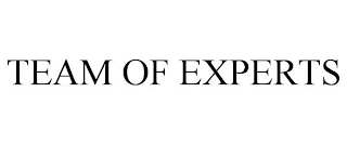 team of experts