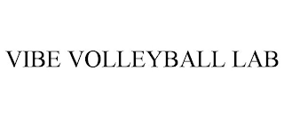 vibe volleyball lab