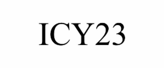 icy23
