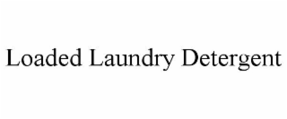 loaded laundry detergent