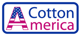 cotton america