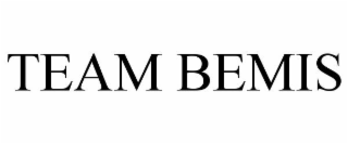 team bemis