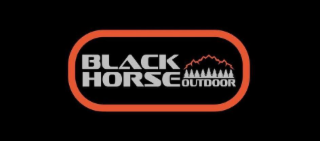 black horse outdoor