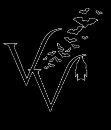 v v