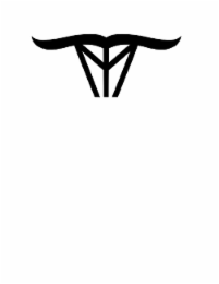 t m
