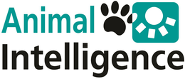 animal intelligence