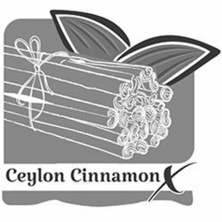 ceylon cinnamon x