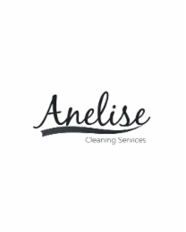 anelise cleaning services
