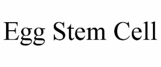 egg stem cell