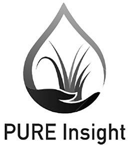 pure insight