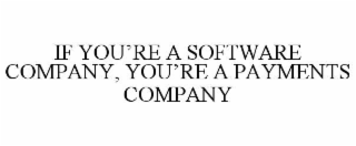 if you’re a software company, you’re a payments company