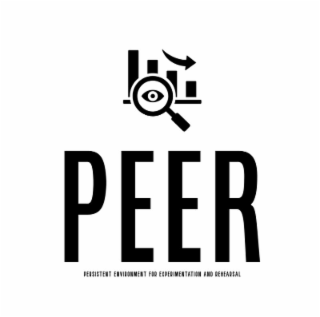 peer persistent environment for experimentation and rehearsal