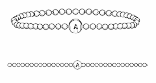 aa