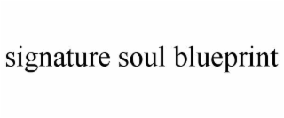 signature soul blueprint