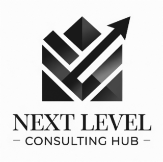 next level consulting hub