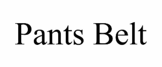 pants belt