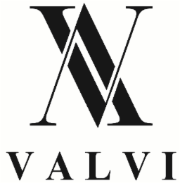 v v valvi