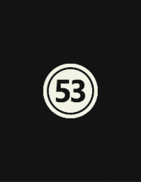 53