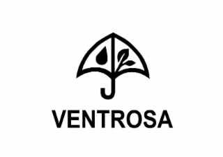 ventrosa