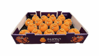 sumo citrus